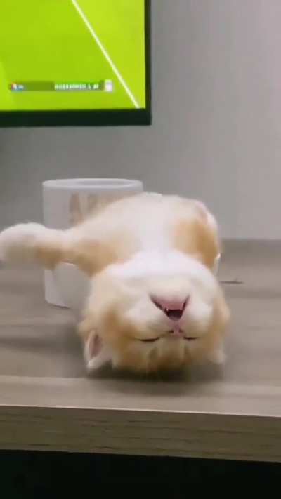 She found perfect place to sleep ?
