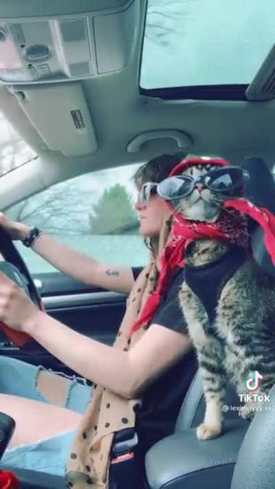 Going for a drive