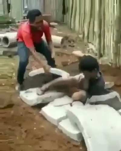 Just Roll