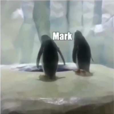 Just a normal day at the South Pole