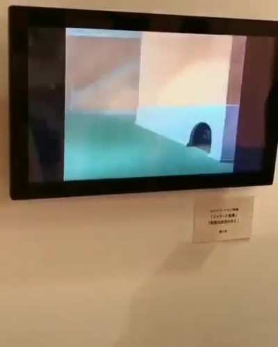Tom and Jerry Museum