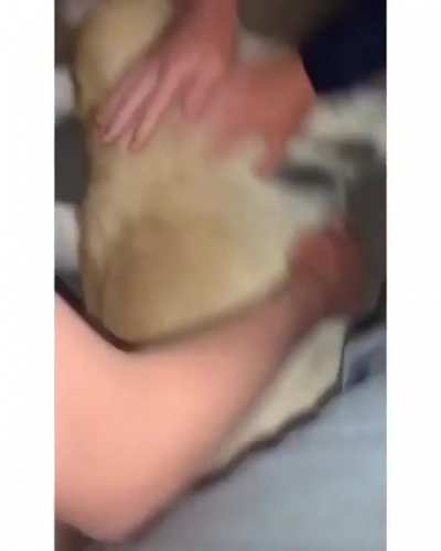 Wait for it