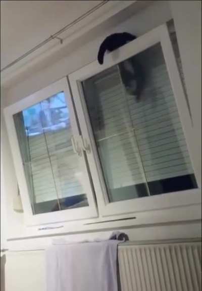 Bye