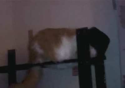 Maybe maybe maybe
