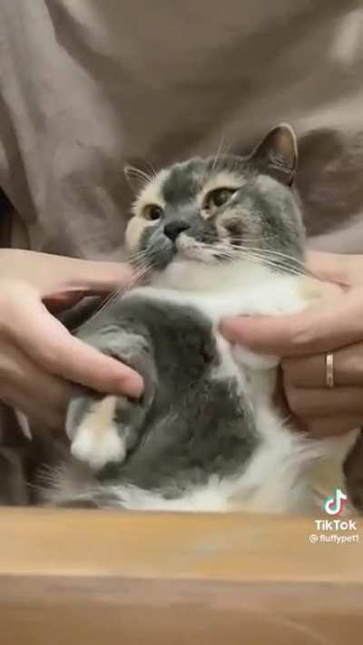 Kitty’s got da moves!