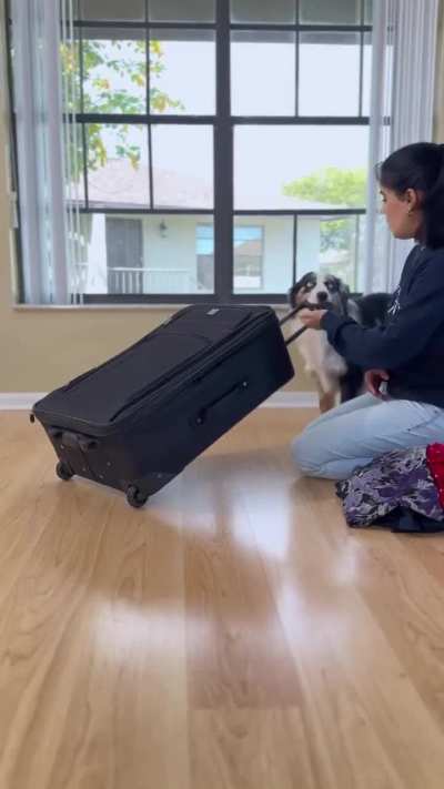 Incredible training from this girl