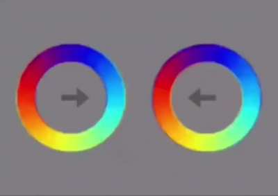 Delusion Illusion