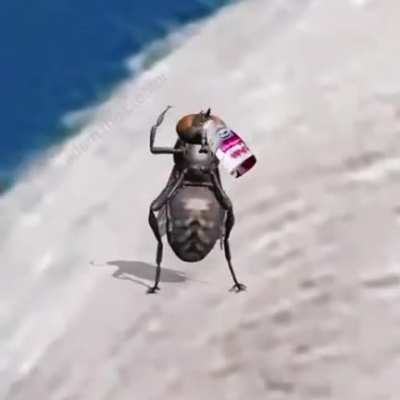 Just a clip from last night’s debate...