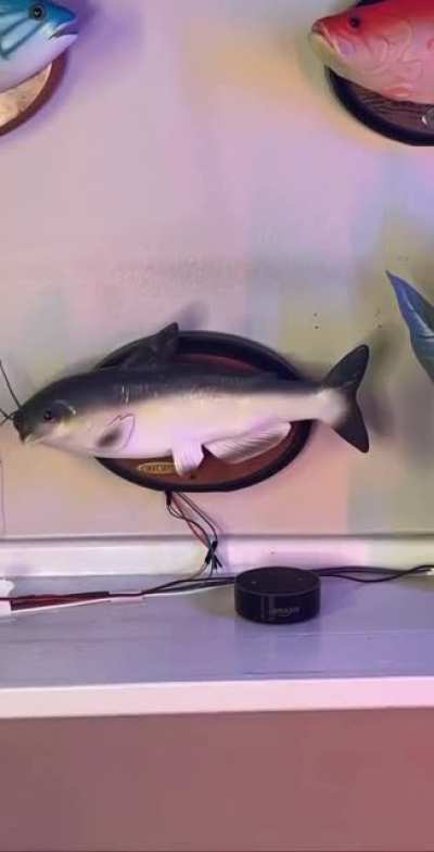 amazing invention ?