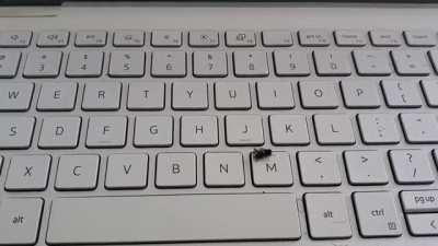 ? Spider takes care of annoying fly