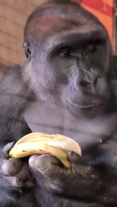 How To Eat Banana Tutorial by Expert?