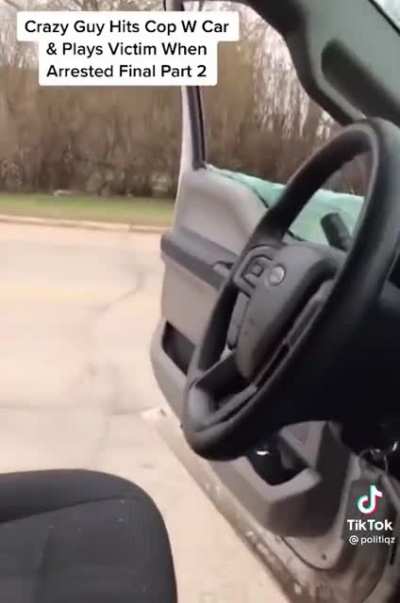 Guy side swipes cop (his person, not his car) part 2