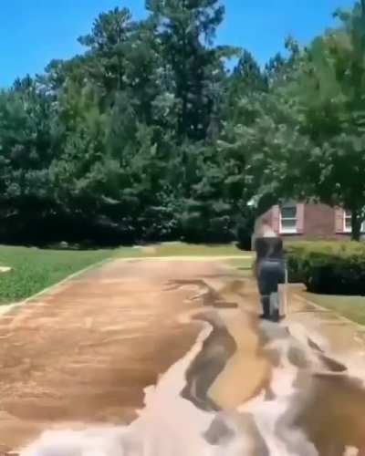 Cleaning the backyard