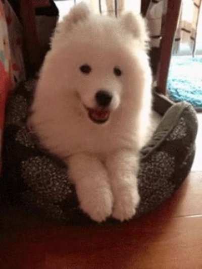 That lovely smile ?