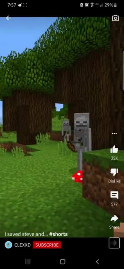 WTF? these minecraft videos don't even make sense anymore!!!
