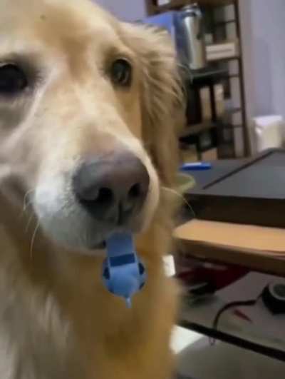 Let me show you a focus ?