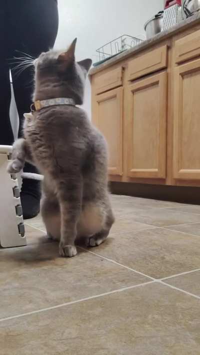 Serving dinner too slow