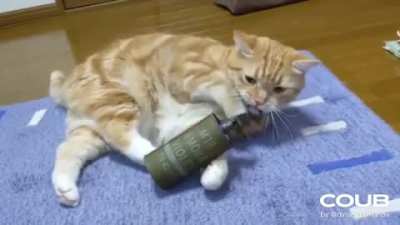 Cat with a smoke grenade
