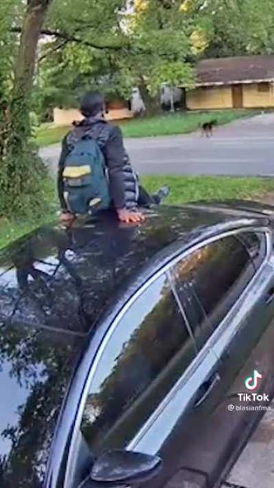 Dog almost got him