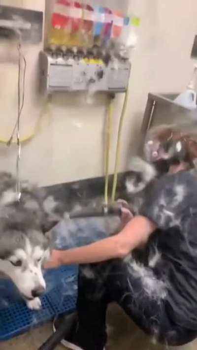 LOOK AT HIS FACE ?