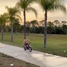 Perfect Timing