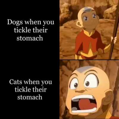 First time making a gif meme