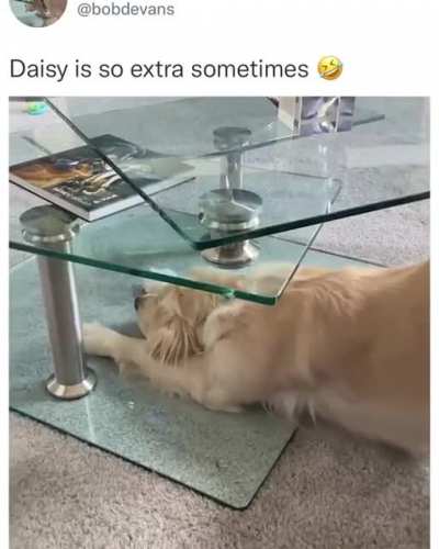 Derpy Daisy