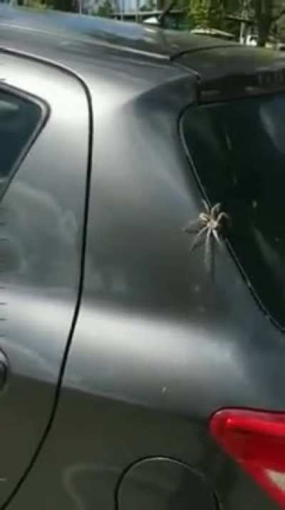 ? Just another day in Australia, of course.