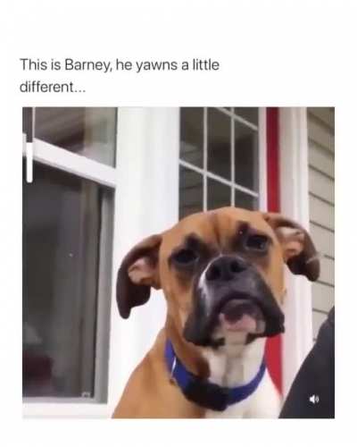 YAAAAAAAAAAAAWn