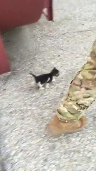 Tiny little soldier