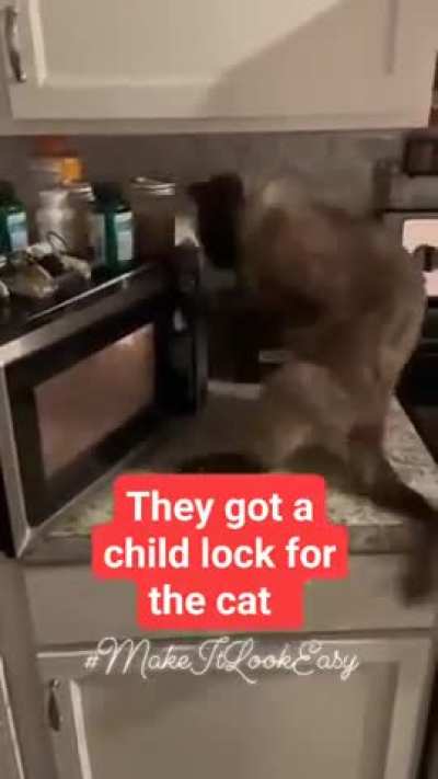 Will Kitty get it?