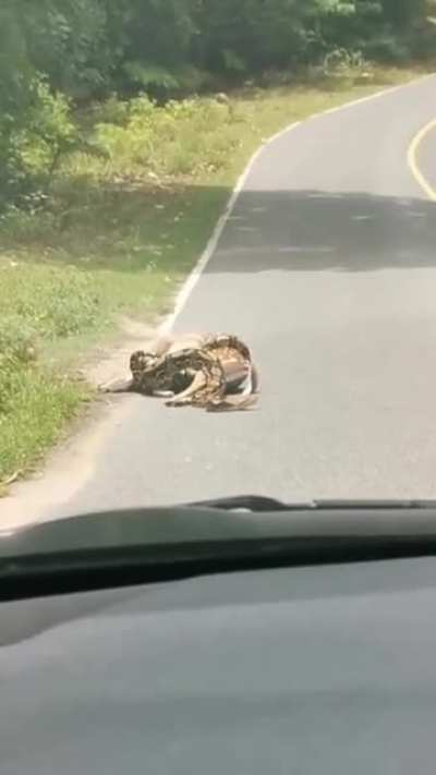 Maybe maybe maybe