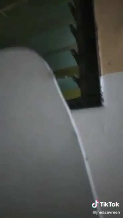 "Guys, I'm scaring my sister, who is in the bathroom. Let's see if she gets surprised or not"