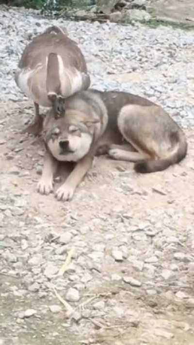 Ooh yeaah that's the spot!