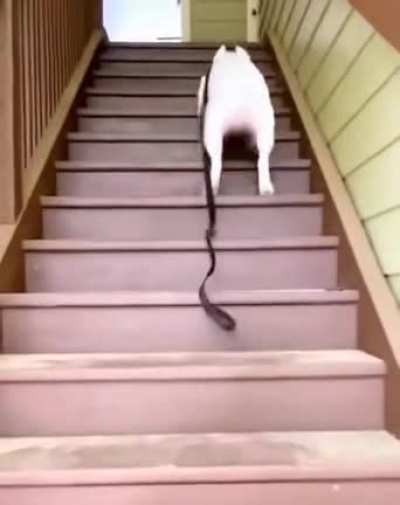 I could watch this for hours ?