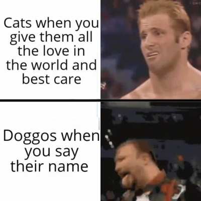 They do be good bois