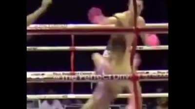 Muay Thai referee saves fighter from illegal kick.