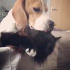 Love you, Cat ?❤️?