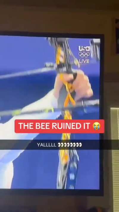 Years of training just for a bee to fuck it all up ??