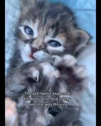 So heckin smol