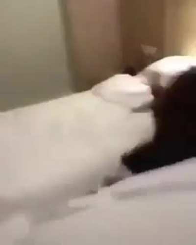 HMC while i jump on this bed.