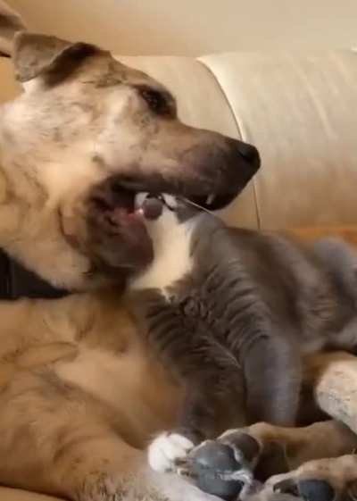 You’ve got a friend in me