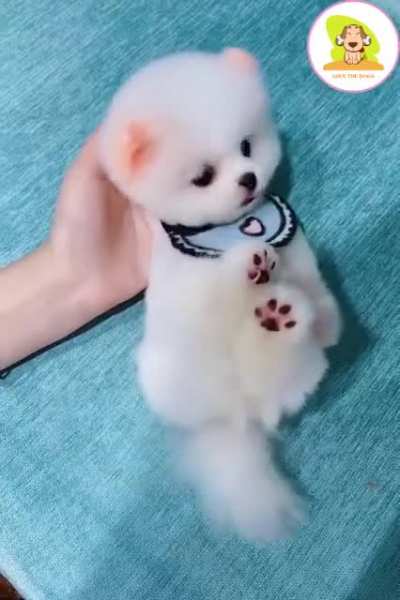 Omg absolutely lovely ???