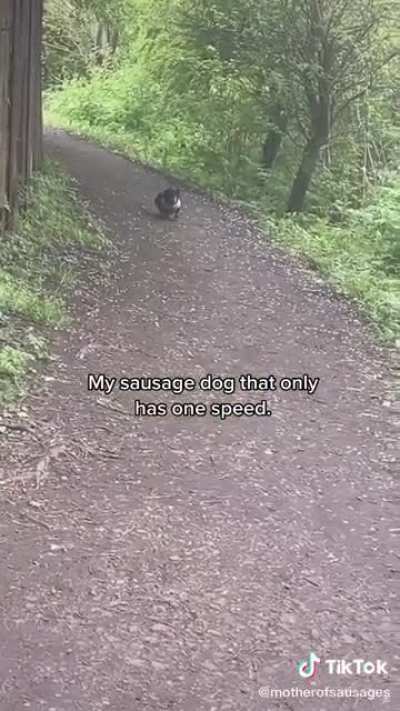 I've rewatched this way to many times