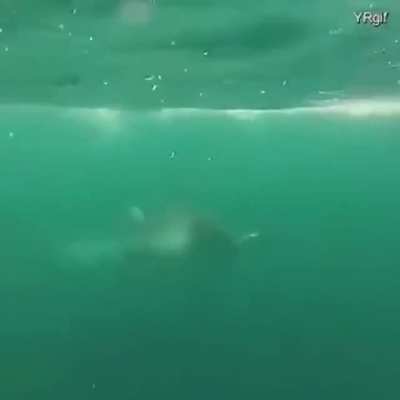 ? Why I'm scared of the Ocean.