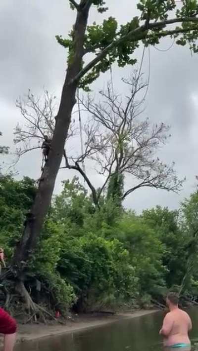 WCGW swinging from a tre