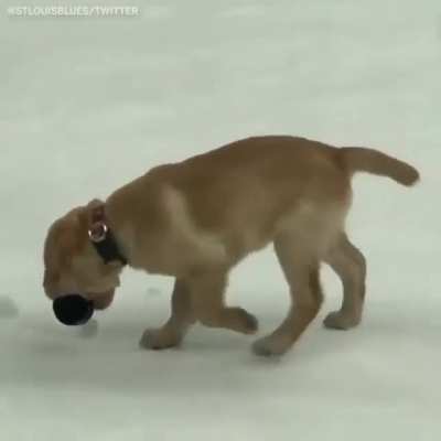 2 minutes for holding the stick