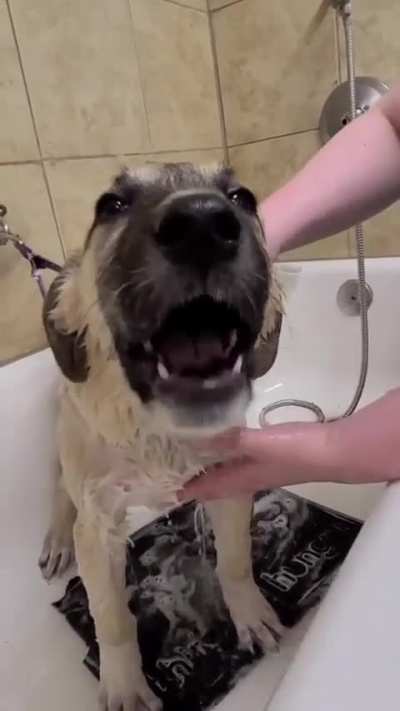 tintos first bath