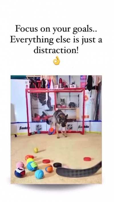 Focus on your goal. Everything  else is just a distraction ?