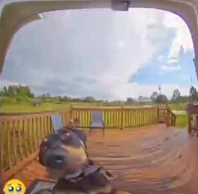 Dog rings the bell, gets confused and barks coz "Someone is at the door"